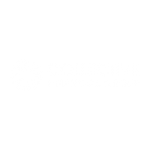 Collective Financial Group